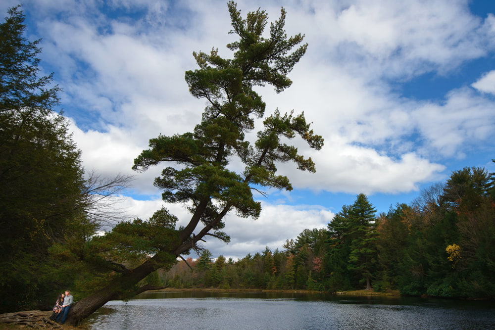 Pocono Engagement Session